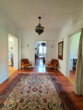 Mountain Villa View Apartment